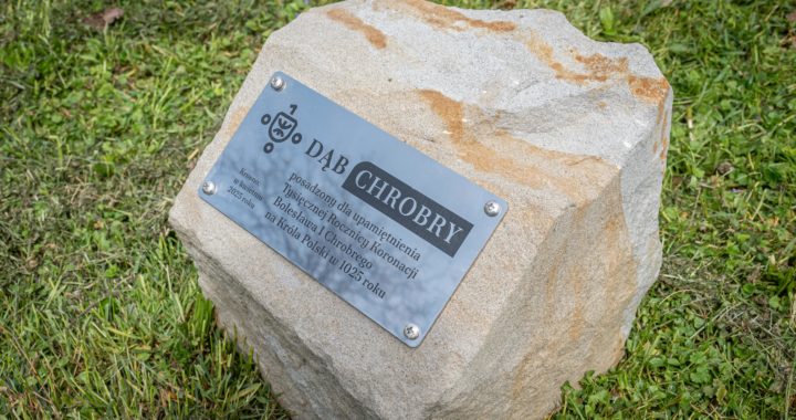 Dąb “Chrobry” przy krośnieńskim plastyku